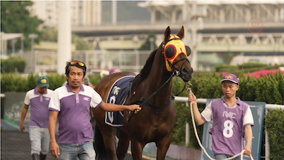 Macao’s horse racing era draws to a close as the curtain falls on the Macau Jockey Club